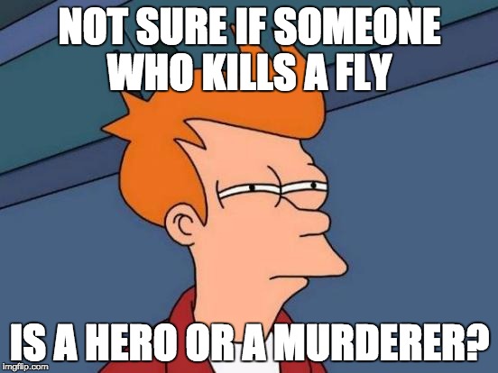 That fly had it coming though. | NOT SURE IF SOMEONE WHO KILLS A FLY; IS A HERO OR A MURDERER? | image tagged in memes,futurama fry | made w/ Imgflip meme maker