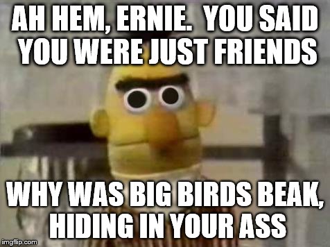 Bert Stare | AH HEM, ERNIE.  YOU SAID YOU WERE JUST FRIENDS; WHY WAS BIG BIRDS BEAK, HIDING IN YOUR ASS | image tagged in bert stare | made w/ Imgflip meme maker