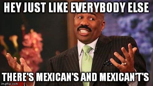 Steve Harvey Meme | HEY JUST LIKE EVERYBODY ELSE THERE'S MEXICAN'S AND MEXICAN'T'S | image tagged in memes,steve harvey | made w/ Imgflip meme maker