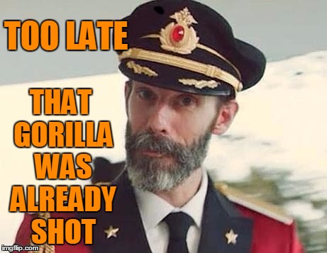 Captain Obvious | TOO LATE THAT GORILLA WAS ALREADY SHOT | image tagged in captain obvious | made w/ Imgflip meme maker