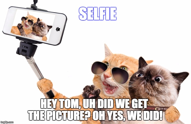 Selfie | SELFIE; HEY TOM, UH DID WE GET THE PICTURE? OH YES, WE DID! | image tagged in dog and cat- selfie,selfie,funny animal meme,camera | made w/ Imgflip meme maker
