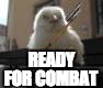 Duck Combat | READY; FOR COMBAT | image tagged in duck ready for war,memes,hot memes,ducks,combat,wars | made w/ Imgflip meme maker