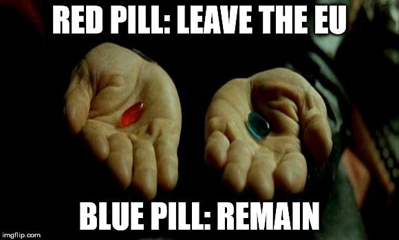 Matrix Pills | RED PILL: LEAVE THE EU; BLUE PILL: REMAIN | image tagged in matrix pills | made w/ Imgflip meme maker
