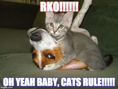 RKO! | RKO!!!!!! OH YEAH BABY, CATS RULE!!!!! | image tagged in rko,dog,cat,animal meme | made w/ Imgflip meme maker