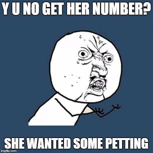 Y U No Meme | Y U NO GET HER NUMBER? SHE WANTED SOME PETTING | image tagged in memes,y u no | made w/ Imgflip meme maker