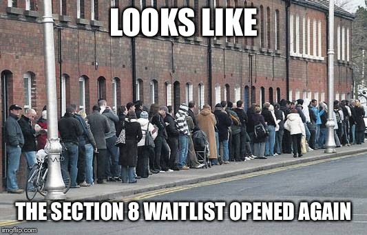Welfare line | LOOKS LIKE; THE SECTION 8 WAITLIST OPENED AGAIN | image tagged in welfare line | made w/ Imgflip meme maker
