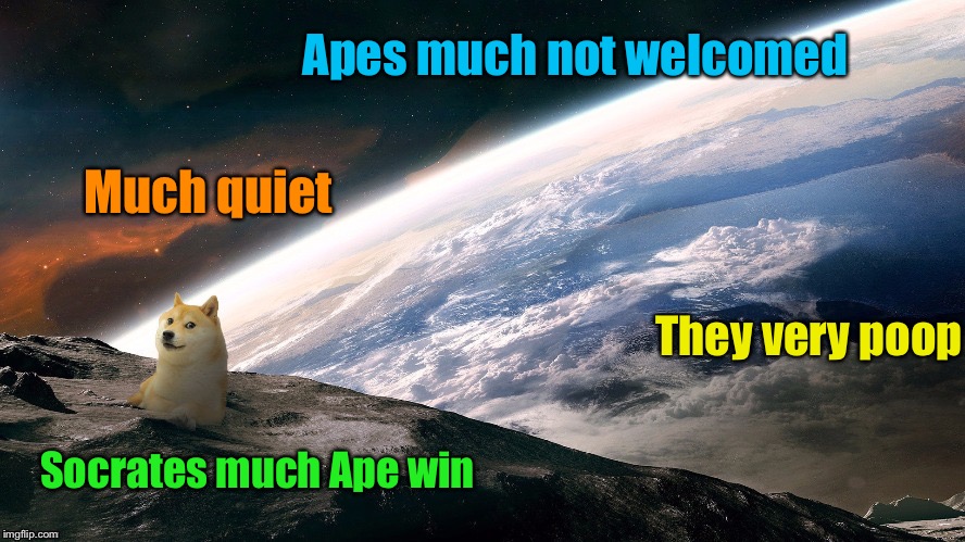Much quiet Apes much not welcomed They very poop Socrates much Ape win | made w/ Imgflip meme maker