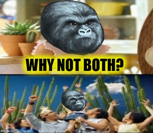 WHY NOT BOTH? | made w/ Imgflip meme maker