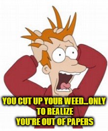 no wraps... | YOU CUT UP YOUR WEED...ONLY TO REALIZE YOU'RE OUT OF PAPERS | image tagged in no wraps | made w/ Imgflip meme maker