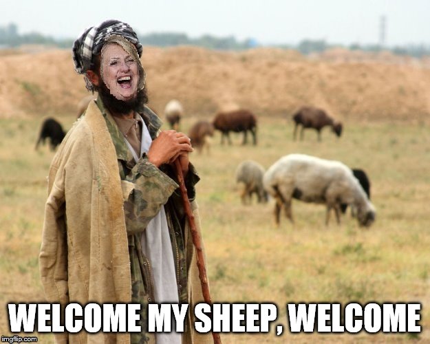 Hillary Sheep Herder | WELCOME MY SHEEP, WELCOME | image tagged in hillary sheep herder | made w/ Imgflip meme maker