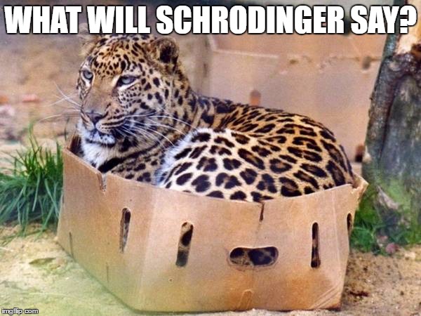 WHAT WILL SCHRODINGER SAY? | image tagged in schroedingers cat | made w/ Imgflip meme maker