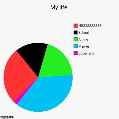 image tagged in funny,pie charts | made w/ Imgflip chart maker