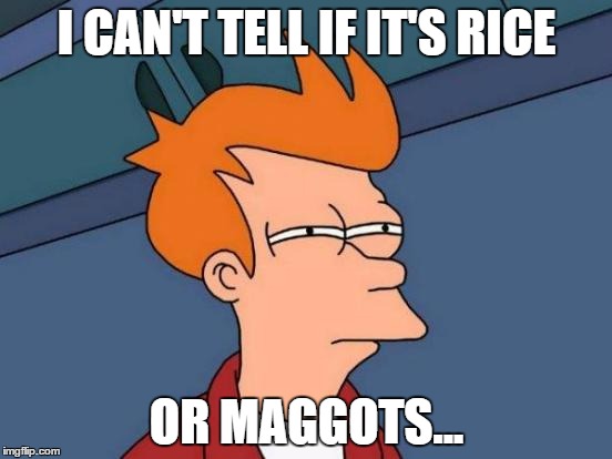 Futurama Fry | I CAN'T TELL IF IT'S RICE; OR MAGGOTS... | image tagged in memes,futurama fry,rice,worms,chinese food | made w/ Imgflip meme maker