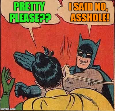 Batman Slapping Robin Meme | PRETTY PLEASE?? I SAID NO,  ASSHOLE! | image tagged in memes,batman slapping robin | made w/ Imgflip meme maker