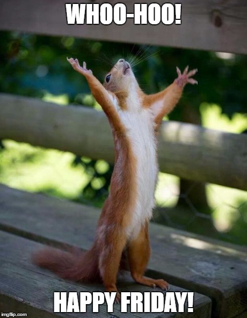 Happy Squirrel | WHOO-HOO! HAPPY FRIDAY! | image tagged in happy squirrel | made w/ Imgflip meme maker