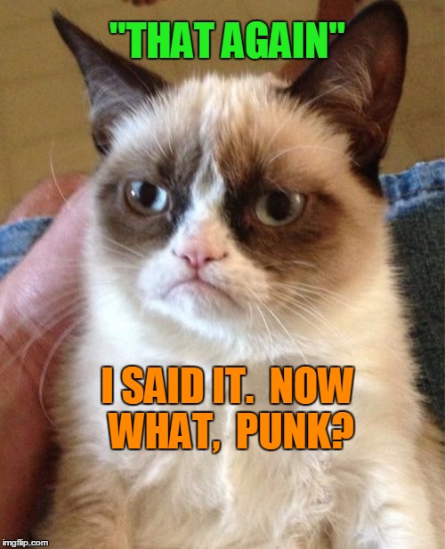 Grumpy Cat Meme | "THAT AGAIN" I SAID IT.  NOW WHAT,  PUNK? | image tagged in memes,grumpy cat | made w/ Imgflip meme maker