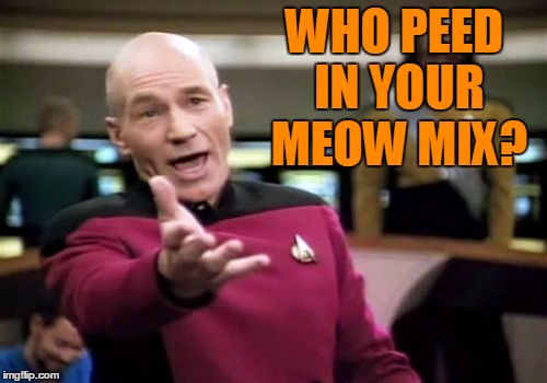 Picard Wtf Meme | WHO PEED IN YOUR MEOW MIX? | image tagged in memes,picard wtf | made w/ Imgflip meme maker