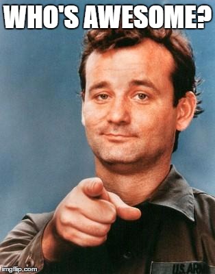 Bill Murray You're Awesome | WHO'S AWESOME? | image tagged in bill murray you're awesome | made w/ Imgflip meme maker