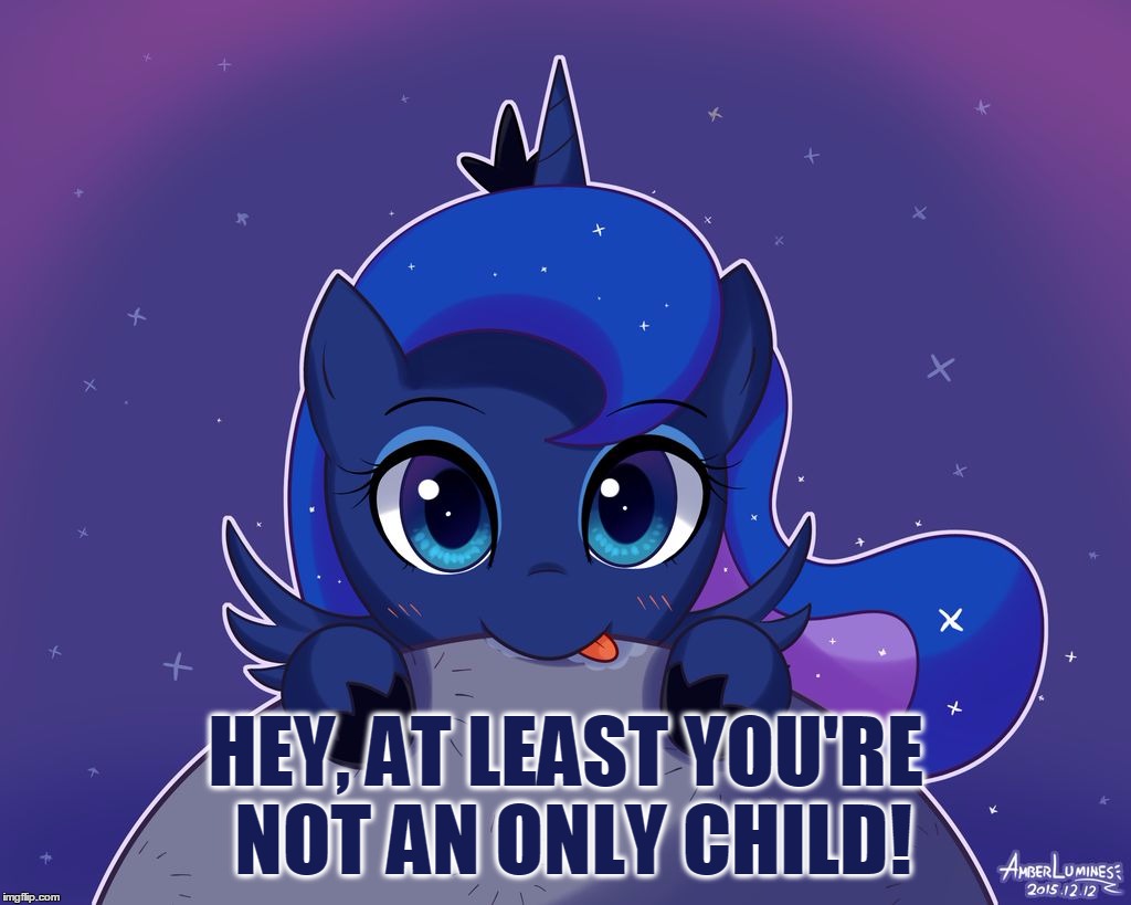 HEY, AT LEAST YOU'RE NOT AN ONLY CHILD! | image tagged in princess luna | made w/ Imgflip meme maker