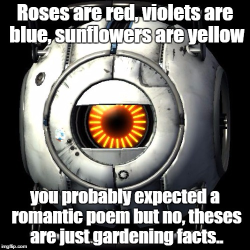 portal 2 logic | Roses are red, violets are blue, sunflowers are yellow; you probably expected a romantic poem but no, theses are just gardening facts.. | image tagged in portal 2 logic | made w/ Imgflip meme maker