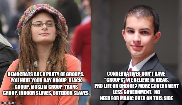 Liberal vs Conservative | CONSERVATIVES DON'T HAVE "GROUPS" WE BELIEVE IN IDEAS. PRO LIFE OR CHOICE? MORE GOVERNMENT LESS GOVERNMENT. 
NO NEED FOR MAGIC OVER ON THIS SIDE; DEMOCRATS ARE A PARTY OF GROUPS. YOU HAVE YOUR GAY GROUP, BLACK GROUP, MUSLIM GROUP, TRANS GROUP. INDOOR SLAVES, OUTDOOR SLAVES. | image tagged in liberal vs conservative | made w/ Imgflip meme maker