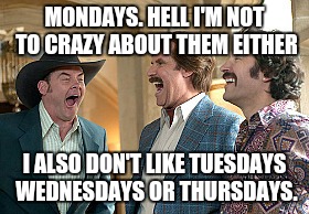 MONDAYS. HELL I'M NOT TO CRAZY ABOUT THEM EITHER I ALSO DON'T LIKE TUESDAYS WEDNESDAYS OR THURSDAYS. | made w/ Imgflip meme maker