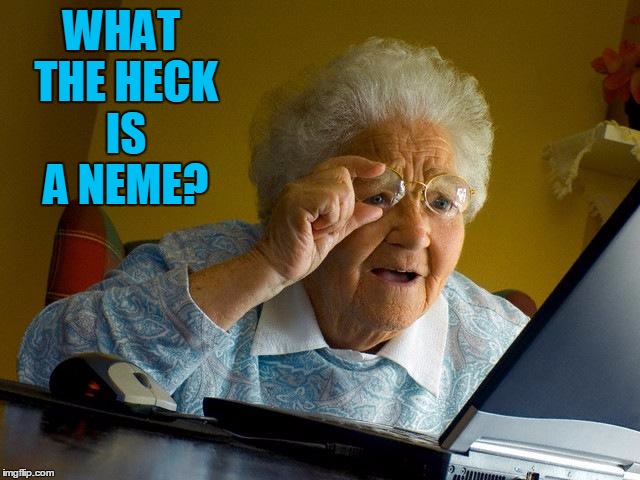 Grandma Finds The Internet Meme | WHAT THE HECK IS A NEME? | image tagged in memes,grandma finds the internet | made w/ Imgflip meme maker