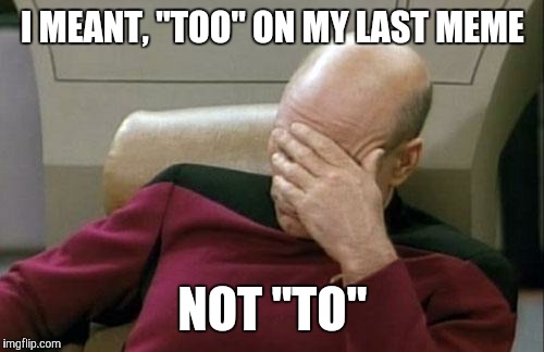 Captain Picard Facepalm Meme | I MEANT, "TOO" ON MY LAST MEME NOT "TO" | image tagged in memes,captain picard facepalm | made w/ Imgflip meme maker