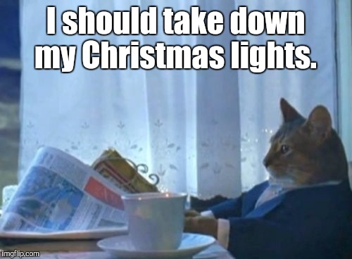 I Should Buy A Boat Cat | I should take down my Christmas lights. | image tagged in memes,i should buy a boat cat | made w/ Imgflip meme maker
