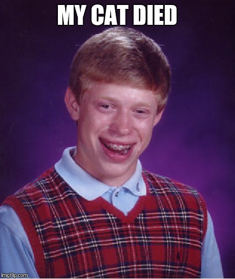 Bad Luck Brian Meme | MY CAT DIED | image tagged in memes,bad luck brian | made w/ Imgflip meme maker