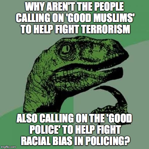 Philosoraptor | WHY AREN'T THE PEOPLE CALLING ON 'GOOD MUSLIMS' TO HELP FIGHT TERRORISM; ALSO CALLING ON THE 'GOOD POLICE' TO HELP FIGHT RACIAL BIAS IN POLICING? | image tagged in memes,philosoraptor | made w/ Imgflip meme maker