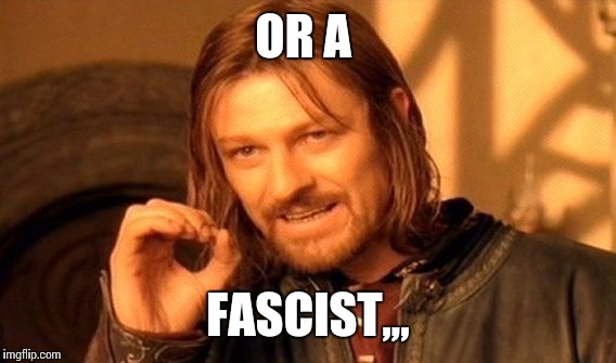 One Does Not Simply Meme | OR A FASCIST,,, | image tagged in memes,one does not simply | made w/ Imgflip meme maker