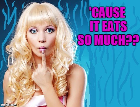 ditzy blonde | 'CAUSE IT EATS SO MUCH?? | image tagged in ditzy blonde | made w/ Imgflip meme maker