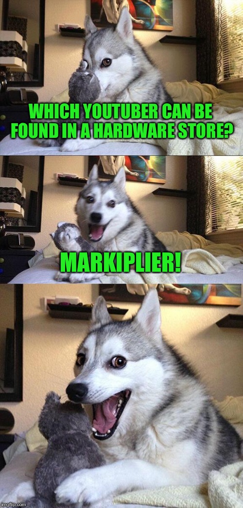 Bad Pun Dog | WHICH YOUTUBER CAN BE FOUND IN A HARDWARE STORE? MARKIPLIER! | image tagged in memes,bad pun dog | made w/ Imgflip meme maker