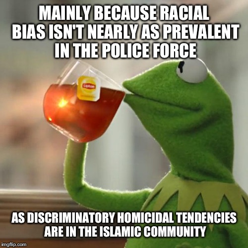 But That's None Of My Business Meme | MAINLY BECAUSE RACIAL BIAS ISN'T NEARLY AS PREVALENT IN THE POLICE FORCE AS DISCRIMINATORY HOMICIDAL TENDENCIES ARE IN THE ISLAMIC COMMUNITY | image tagged in memes,but thats none of my business,kermit the frog | made w/ Imgflip meme maker