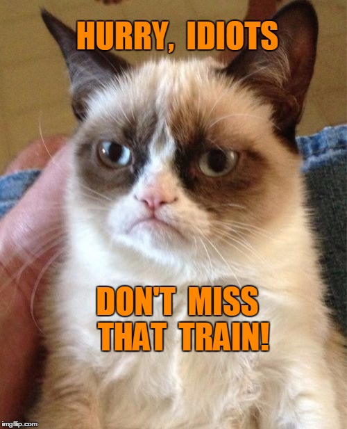 Grumpy Cat Meme | HURRY,  IDIOTS DON'T  MISS  THAT  TRAIN! | image tagged in memes,grumpy cat | made w/ Imgflip meme maker