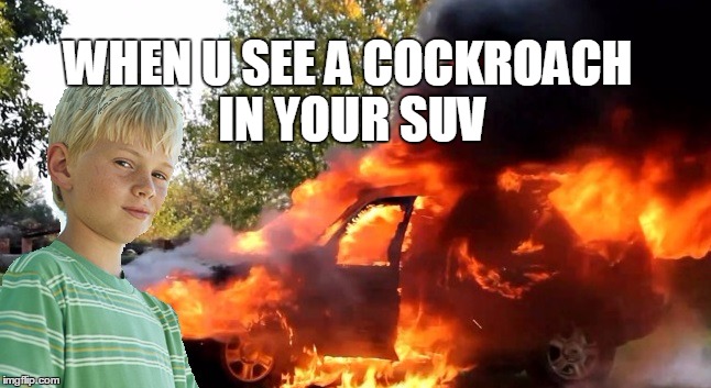 vengeful child | WHEN U SEE A COCKROACH IN YOUR SUV | image tagged in vengeful child | made w/ Imgflip meme maker