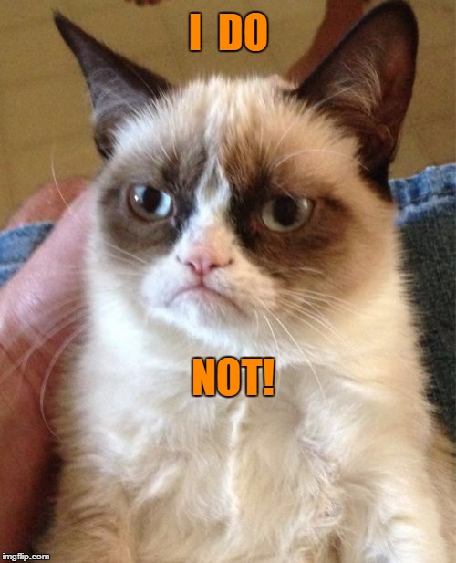 Grumpy Cat Meme | I  DO NOT! | image tagged in memes,grumpy cat | made w/ Imgflip meme maker