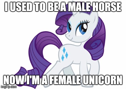 Rarity | I USED TO BE A MALE HORSE; NOW I'M A FEMALE UNICORN | image tagged in memes,rarity | made w/ Imgflip meme maker