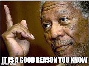 IT IS A GOOD REASON YOU KNOW | made w/ Imgflip meme maker