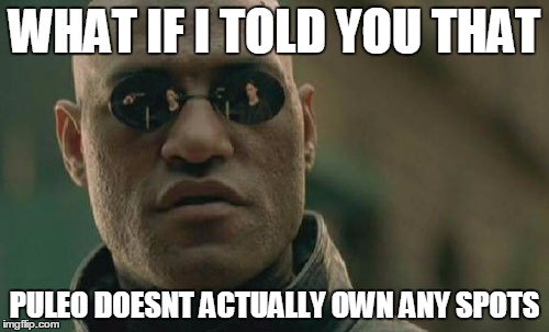 Matrix Morpheus Meme | WHAT IF I TOLD YOU THAT; PULEO DOESNT ACTUALLY OWN ANY SPOTS | image tagged in memes,matrix morpheus | made w/ Imgflip meme maker