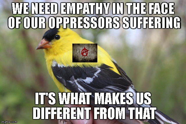 Anarchy bird. | WE NEED EMPATHY IN THE FACE OF OUR OPPRESSORS SUFFERING; IT'S WHAT MAKES US DIFFERENT FROM THAT | image tagged in goldfinch,anarchy,cops,dallas,shooting | made w/ Imgflip meme maker