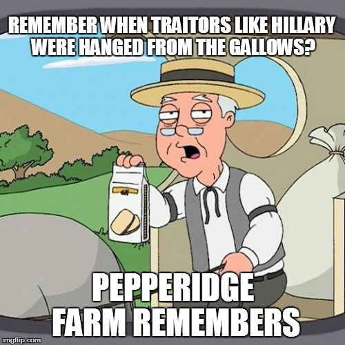 Pepperidge Farm Remembers | REMEMBER WHEN TRAITORS LIKE HILLARY WERE HANGED FROM THE GALLOWS? PEPPERIDGE FARM REMEMBERS | image tagged in memes,pepperidge farm remembers | made w/ Imgflip meme maker