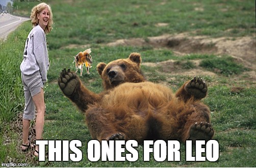 wouldn't want to bee there for that one |  THIS ONES FOR LEO | image tagged in memes,leonardo dicaprio,bad luck bear,bees,nature,funny | made w/ Imgflip meme maker