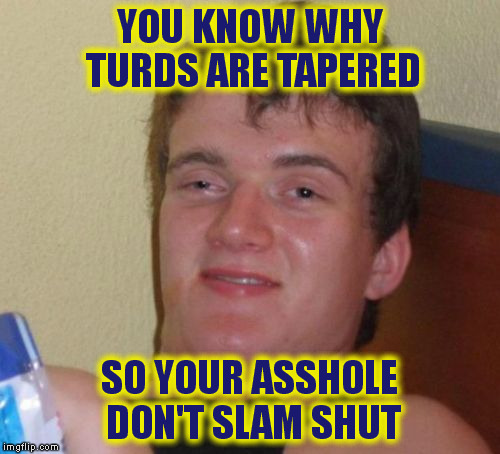 10 Guy | YOU KNOW WHY TURDS ARE TAPERED; SO YOUR ASSHOLE DON'T SLAM SHUT | image tagged in memes,10 guy | made w/ Imgflip meme maker