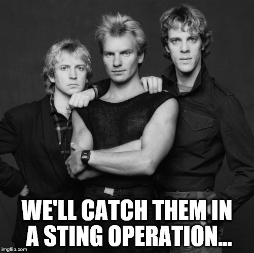 the police | WE'LL CATCH THEM IN A STING OPERATION... | image tagged in the police | made w/ Imgflip meme maker