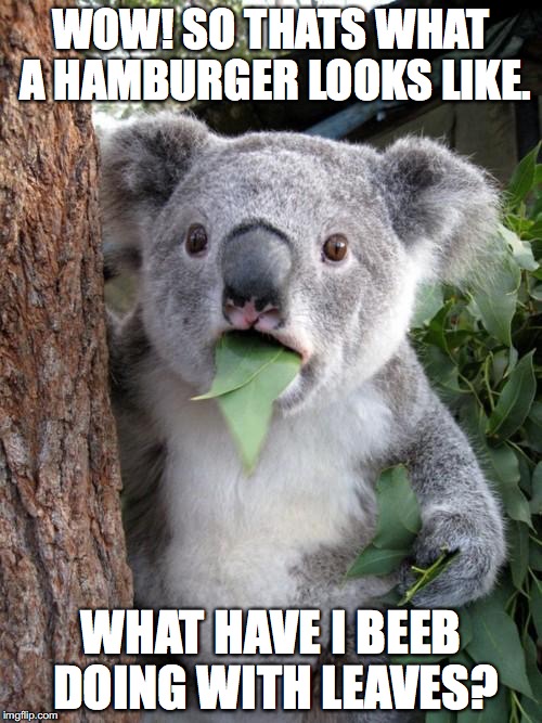Surprised Koala Meme | WOW! SO THATS WHAT A HAMBURGER LOOKS LIKE. WHAT HAVE I BEEB DOING WITH LEAVES? | image tagged in memes,surprised koala | made w/ Imgflip meme maker