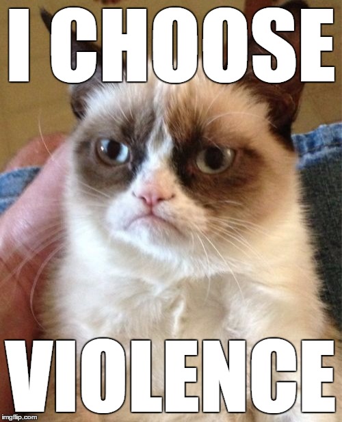 Grumpy Cat Meme | I CHOOSE VIOLENCE | image tagged in memes,grumpy cat | made w/ Imgflip meme maker