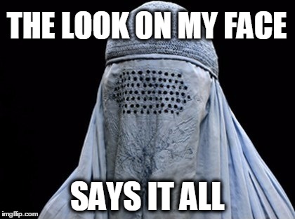 THE LOOK ON MY FACE; SAYS IT ALL | image tagged in bad pun burka,that face you make when | made w/ Imgflip meme maker