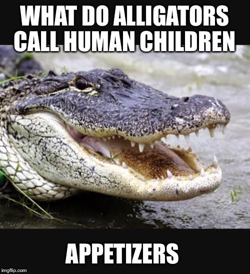 Too soon??? | WHAT DO ALLIGATORS CALL HUMAN CHILDREN; APPETIZERS | image tagged in memes,alligator,children,too soon | made w/ Imgflip meme maker